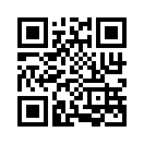 QR CODE 336