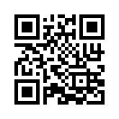 QR CODE 393