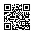 QR CODE 394