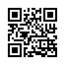 QR CODE 461