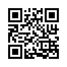 QR CODE 494