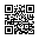 QR CODE 532