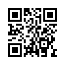 QR CODE 533