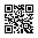 QR CODE 1191
