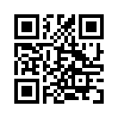 QR CODE 1393