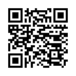 QR CODE 133
