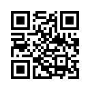 QR CODE 31