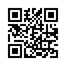 QR CODE 1516