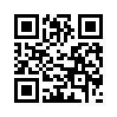 QR CODE 1529