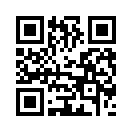 QR CODE 1531