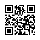 QR CODE 1538