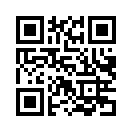 QR CODE 110