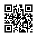 QR CODE 133