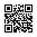 QR CODE 24