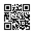 QR CODE 28