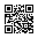 QR CODE 29