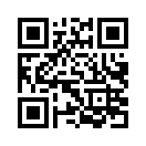 QR CODE 53