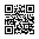 QR CODE 53