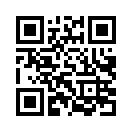 QR CODE 54