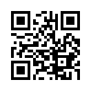 QR CODE 65