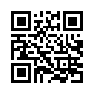 QR CODE 95