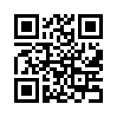 QR CODE 110