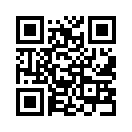 QR CODE 42
