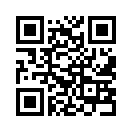 QR CODE 53