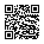 QR CODE 110