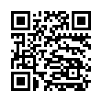 QR CODE 131