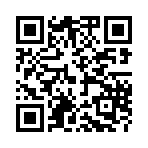 QR CODE 133