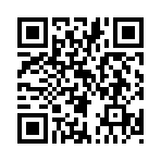 QR CODE 17