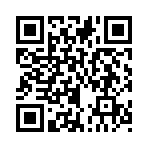 QR CODE 53