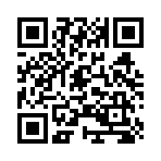 QR CODE 91