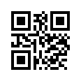 QR CODE 316