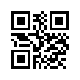 QR CODE 336