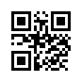 QR CODE 461