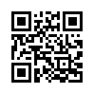 QR CODE 31