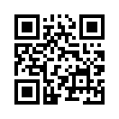 QR CODE 260