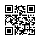 QR CODE 31