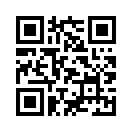 QR CODE 43