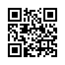 QR CODE 110