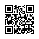 QR CODE 305