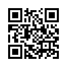 QR CODE 316