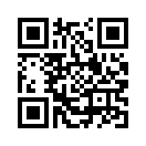 QR CODE 329