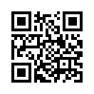 QR CODE 336
