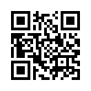 QR CODE 344