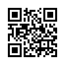 QR CODE 394