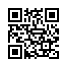 QR CODE 31