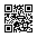 QR CODE 42